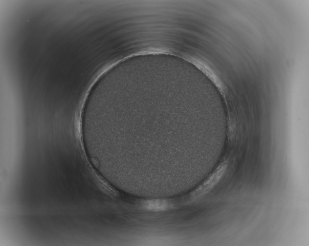 X0000101690797200807311411