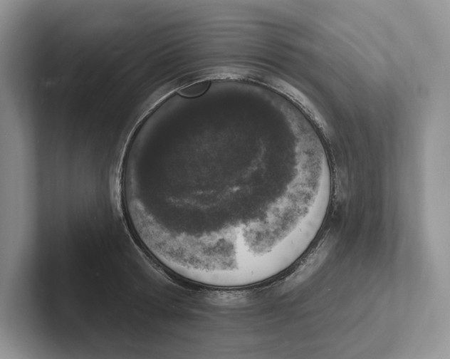 X0000101690802200807311411