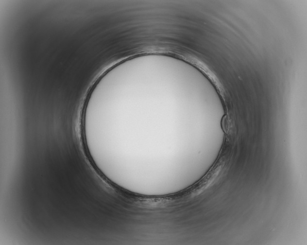 X0000101690803200807311411