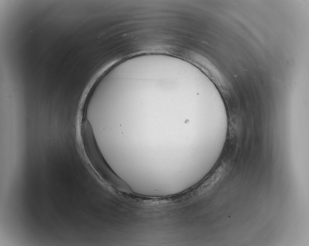 X0000101690804200807311411