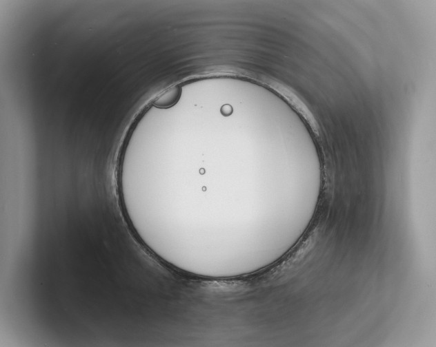 X0000101690805200807311411