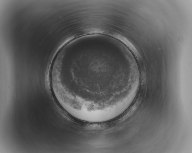 X0000101690806200807311411