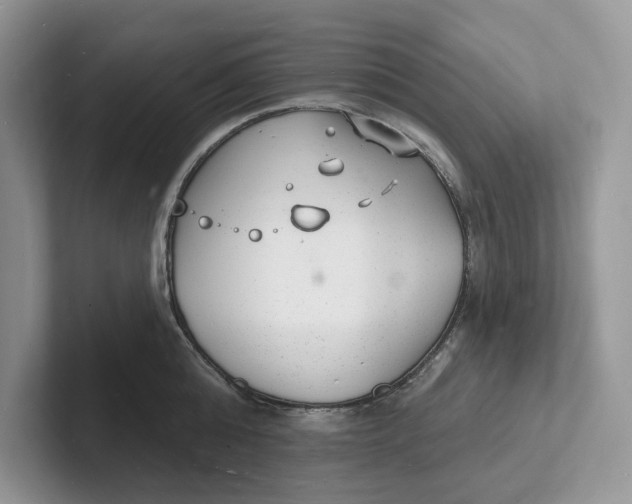 X0000101690808200807311411