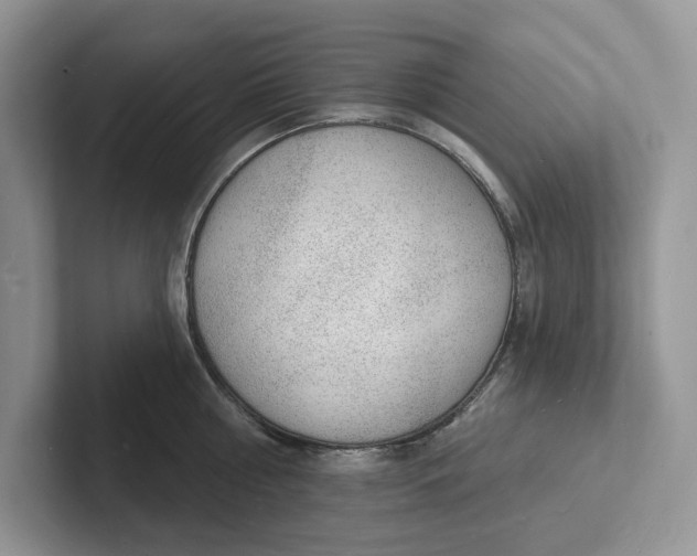 X0000101690810200807311411