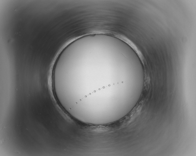 X0000101690811200807311410