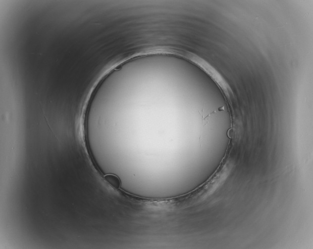 X0000101690813200807311410