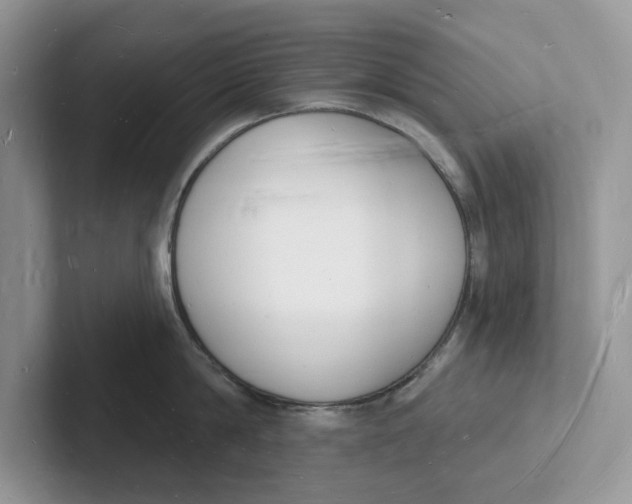 X0000101690814200807311410