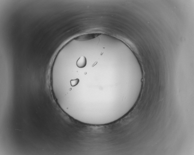 X0000101690816200807311410