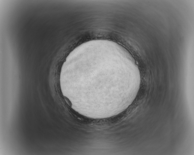 X0000101690817200807311410