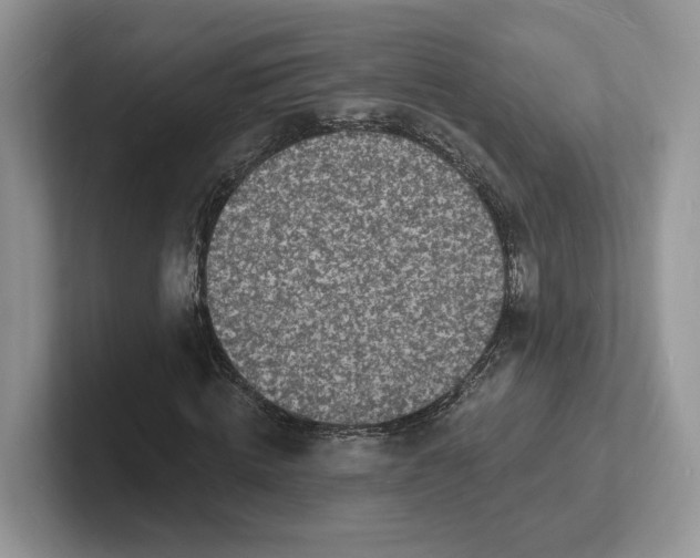 X0000101690820200807311410