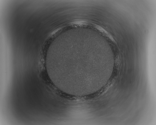 X0000101690822200807311410