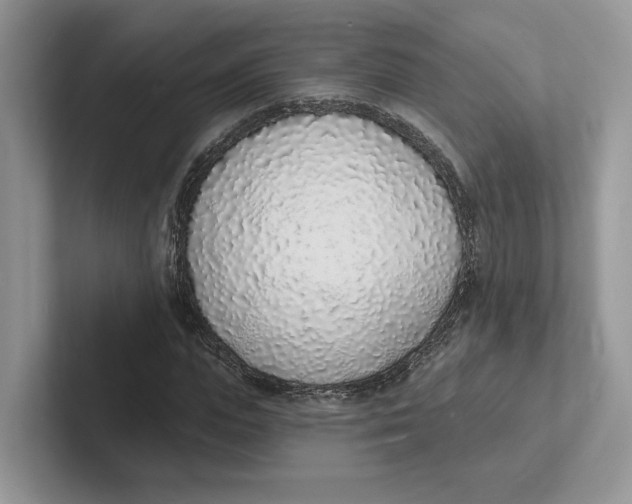 X0000101690823200807311410