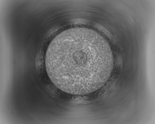 X0000101690824200807311410