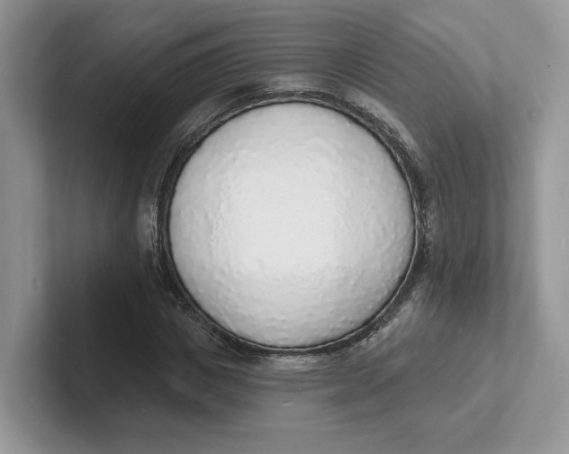 X0000101690825200807311410