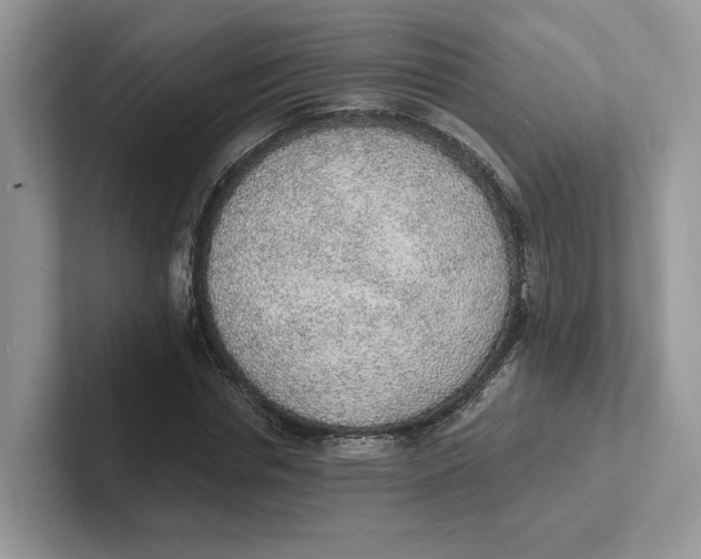 X0000101690826200807311410