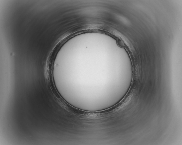 X0000101690827200807311410