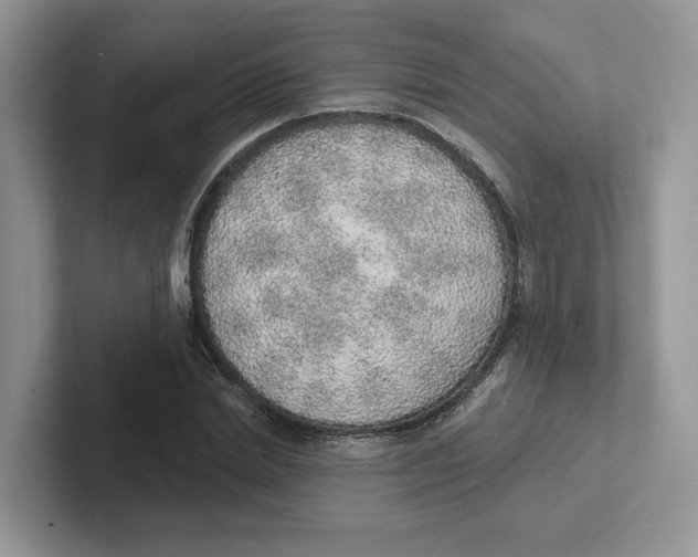 X0000101690830200807311410