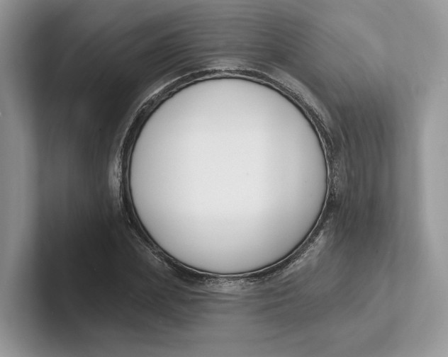 X0000101690831200807311410