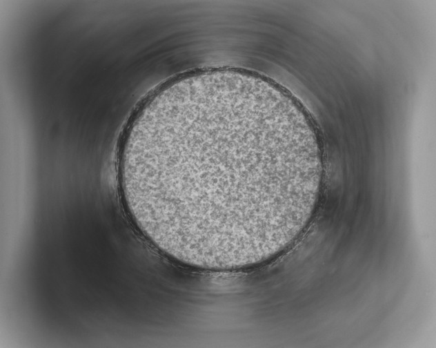 X0000101690832200807311410