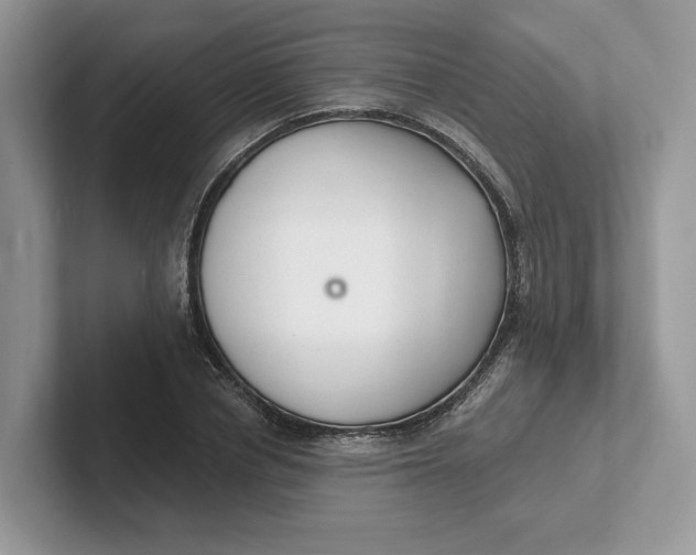 X0000101690834200807311410