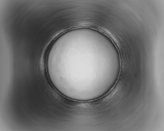 X0000101690835200807311410