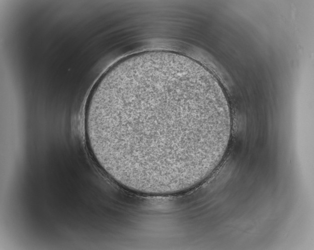 X0000101690836200807311410