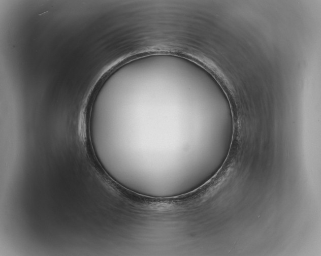 X0000101690838200807311410