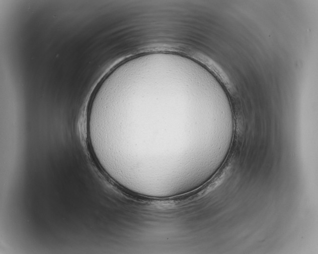 X0000101690844200807311410