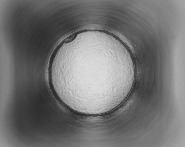 X0000101690845200807311410