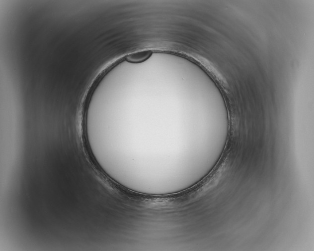 X0000101690846200807311410