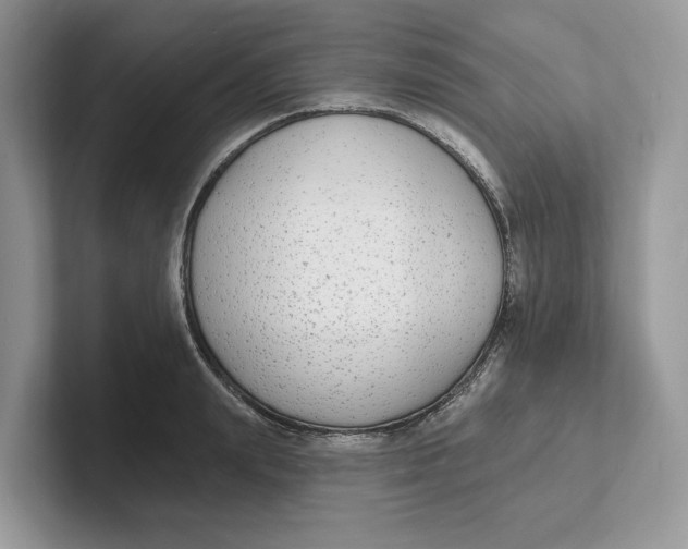 X0000101690847200807311410