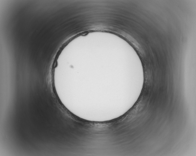 X0000101690848200807311410