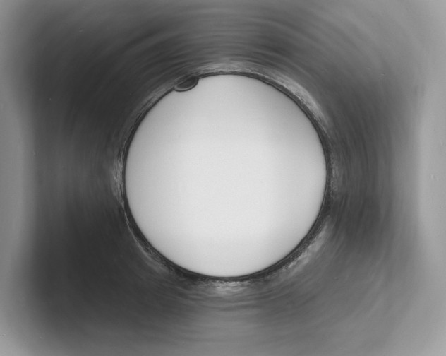 X0000101690849200807311410