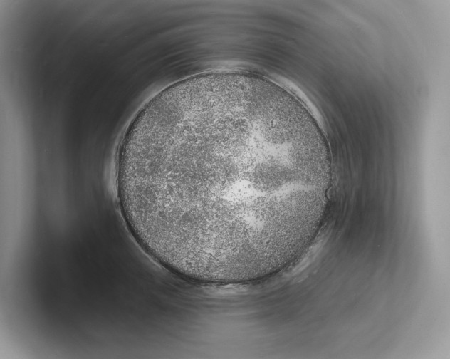 X0000101690851200807311410