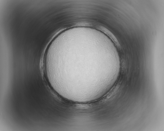 X0000101690852200807311410