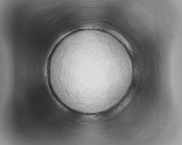 X0000101690855200807311410