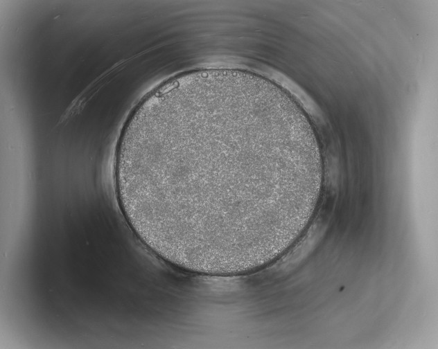 X0000101690856200807311410