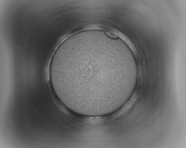 X0000101690858200807311410