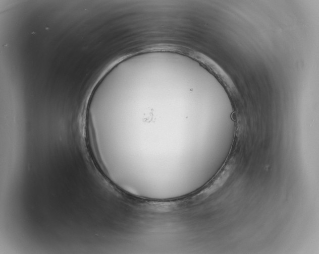 X0000101690860200807311410