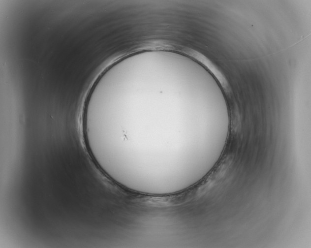 X0000101690861200807311410