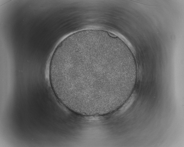 X0000101690862200807311410