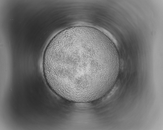 X0000101690863200807311410