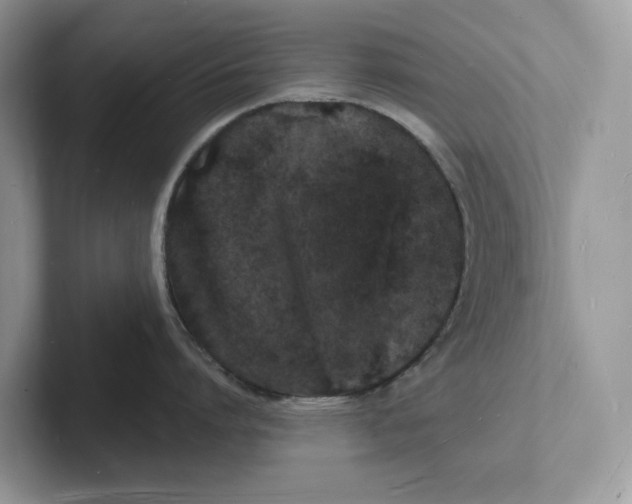 X0000101690864200807311410