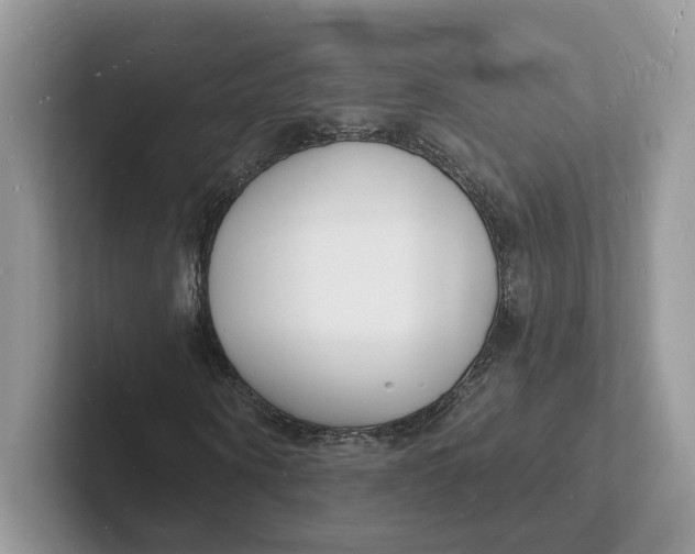 X0000101690866200807311410