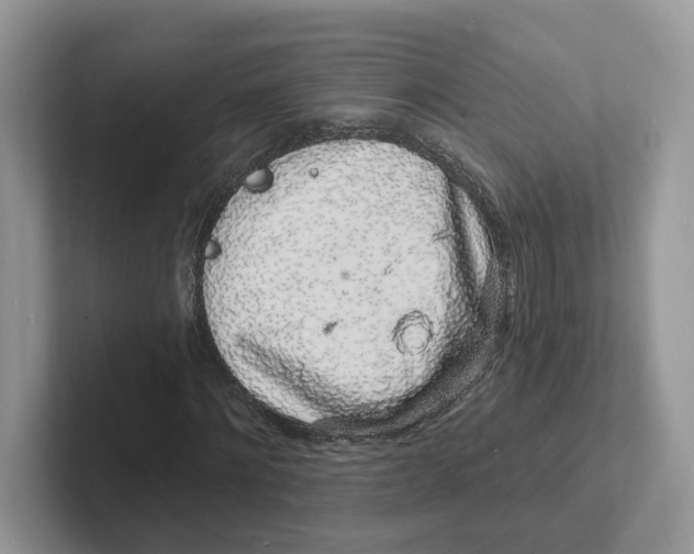 X0000101690868200807311410