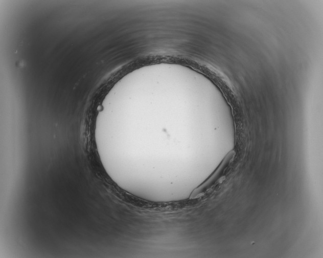 X0000101690872200807311410