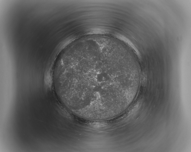 X0000101690874200807311410