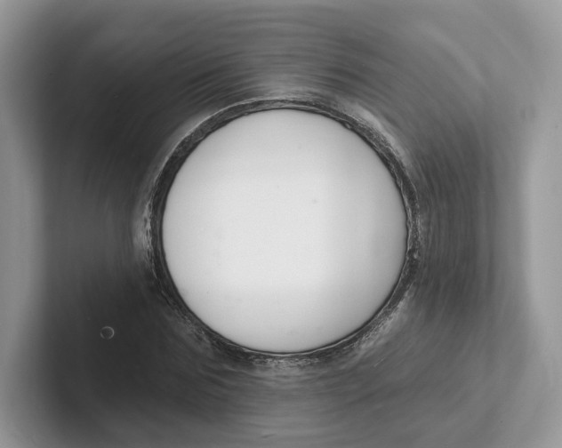 X0000101690875200807311410