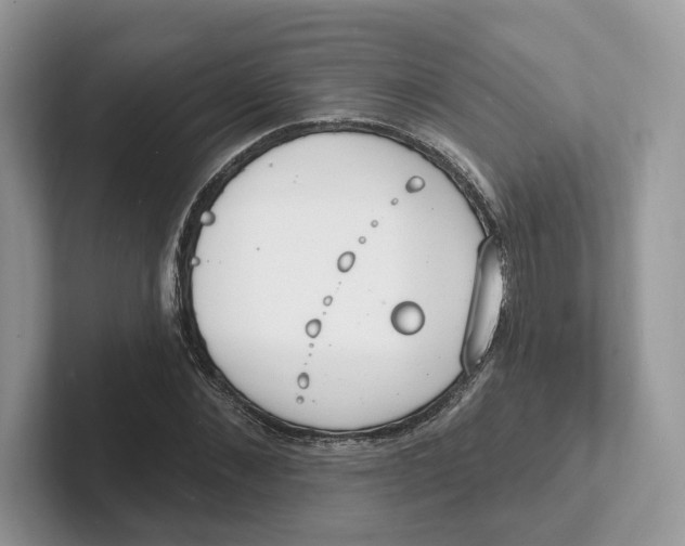 X0000101690876200807311410