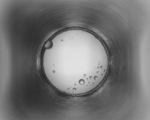 X0000101690877200807311410